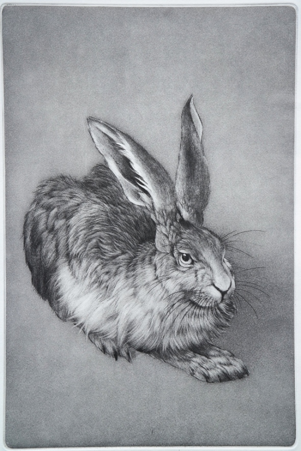 Durer's Hare 20 x 30 cm